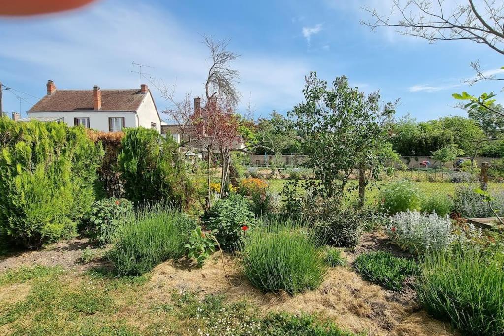 Les Noyers Monestois Entre Cher Et Canal De Berry Mennetou-sur-Cher Екстериор снимка